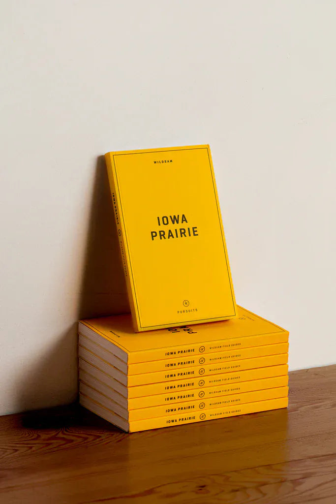 Iowa Prairie - My American Goods