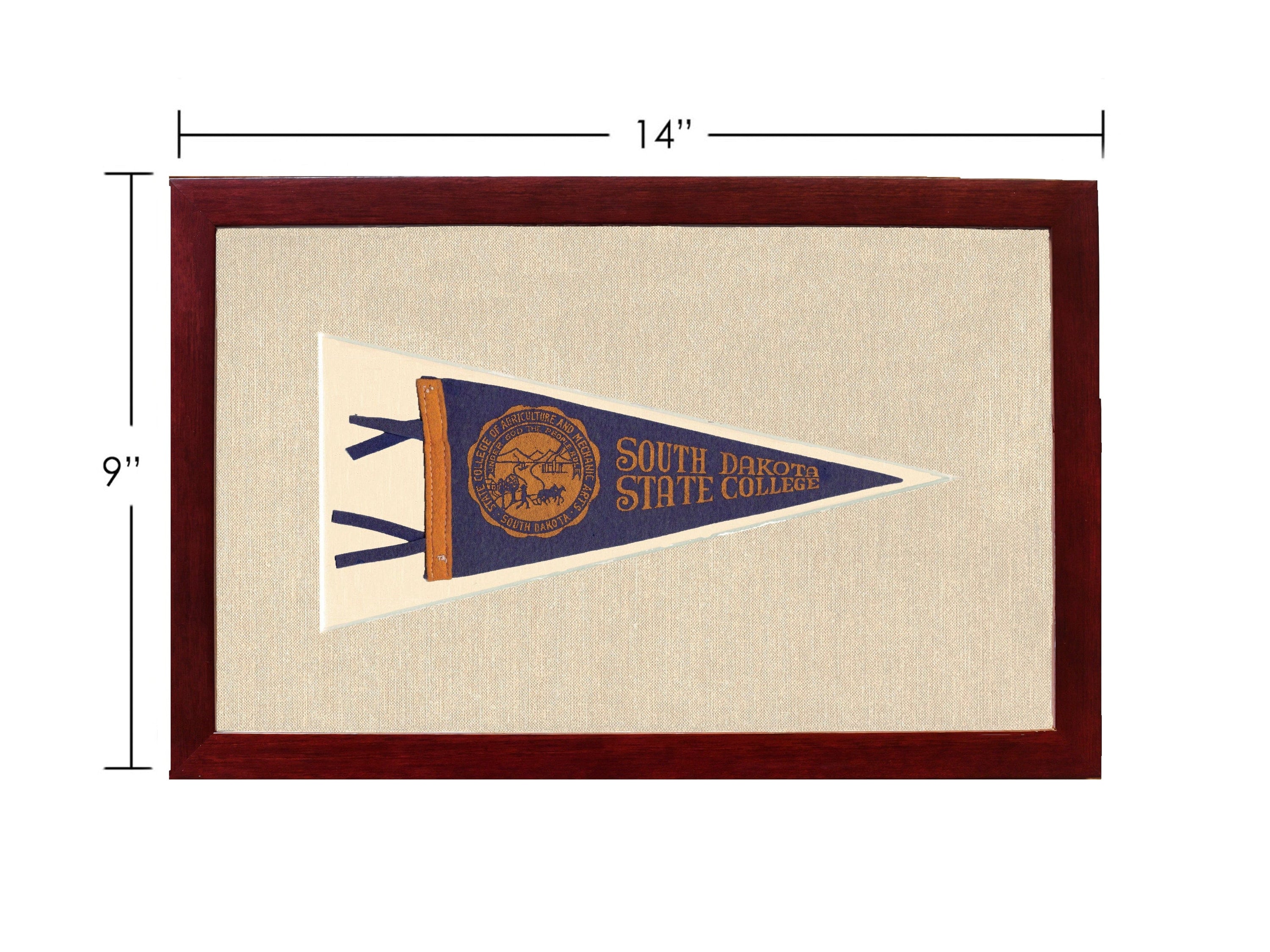 Americana Memories Vintage Pennants and Memorabilia Vintage South Dakota State College Pennant