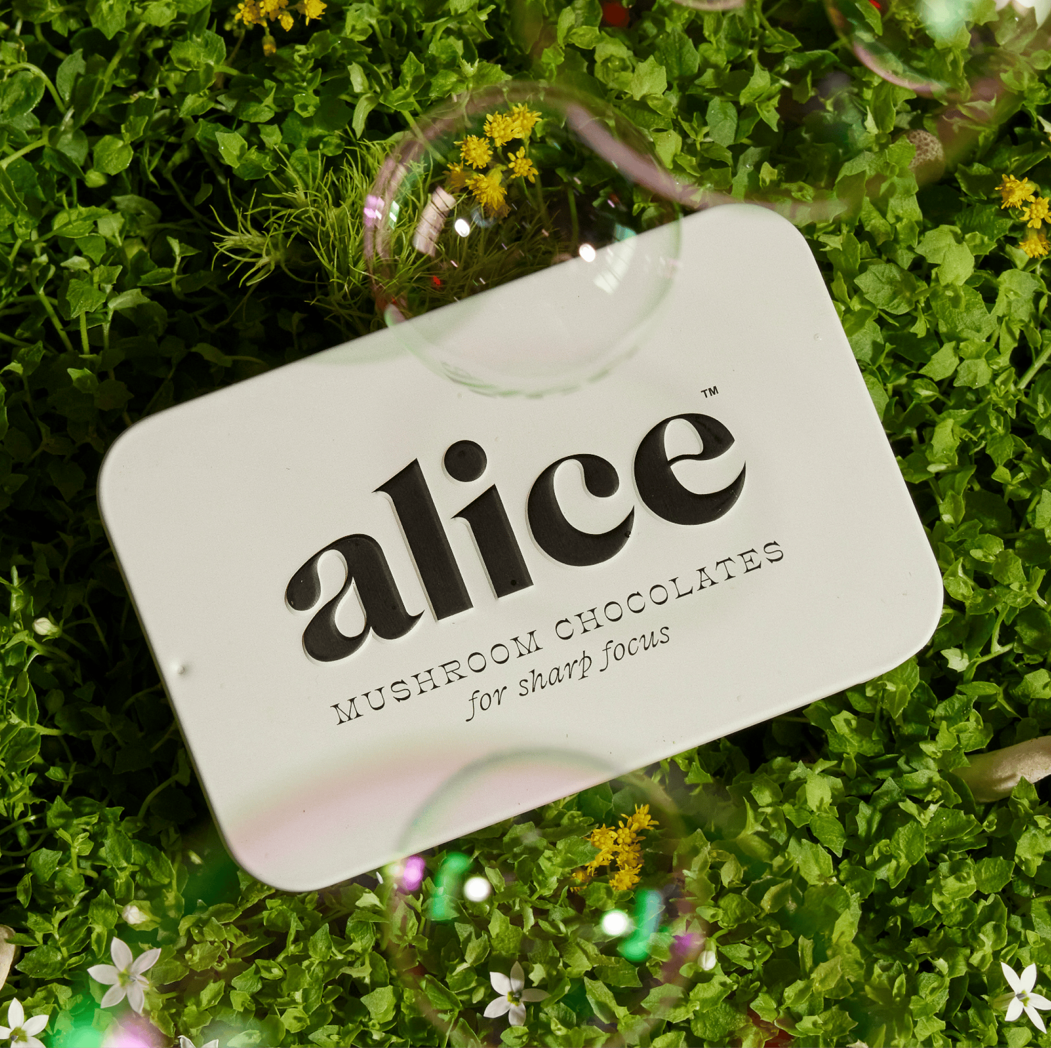alice mushrooms Brainstorm Functional Mushroom Chocolates