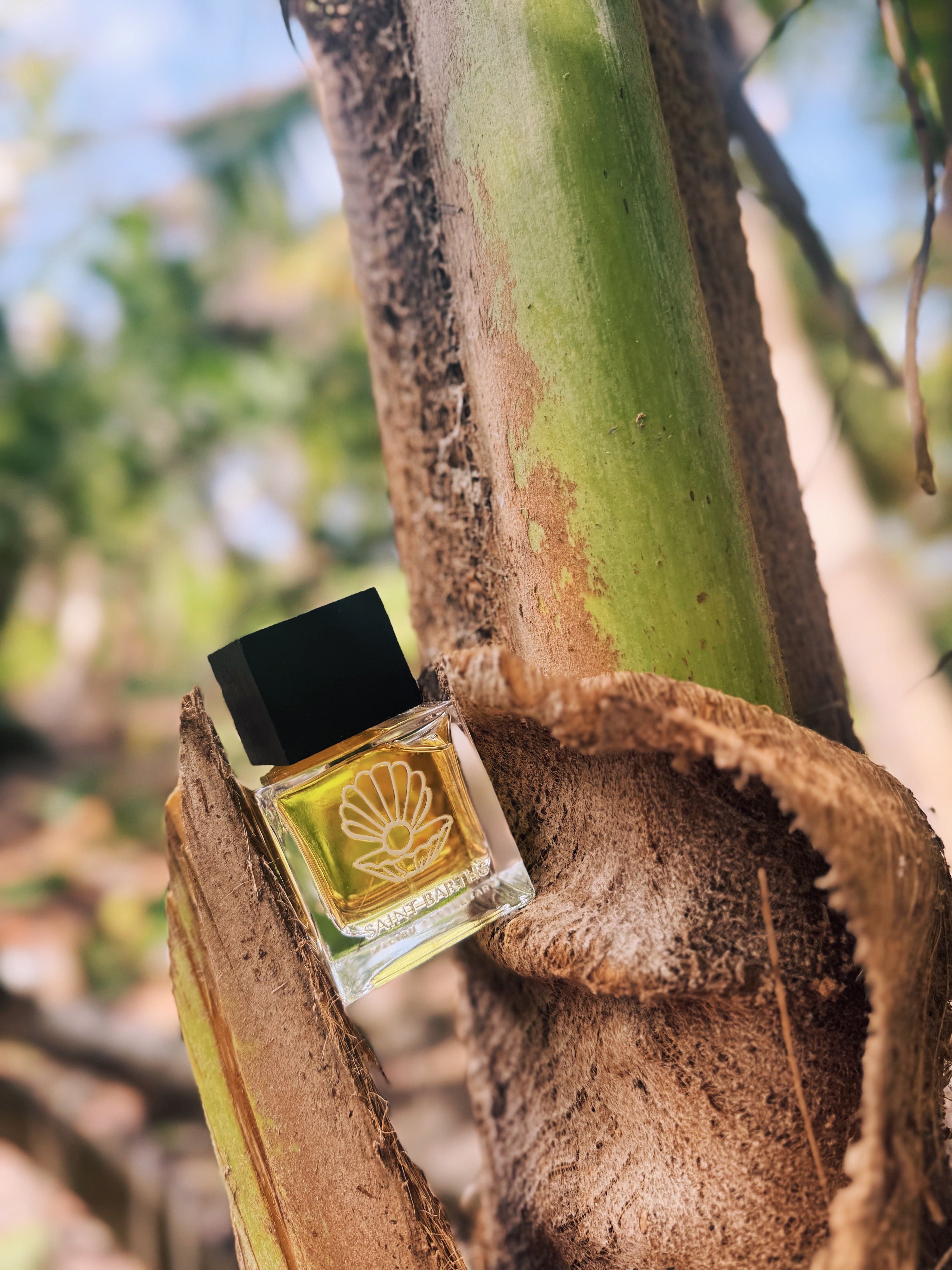 Malibu Apothecary Eau de Parfum 50mL | 1.7fl oz