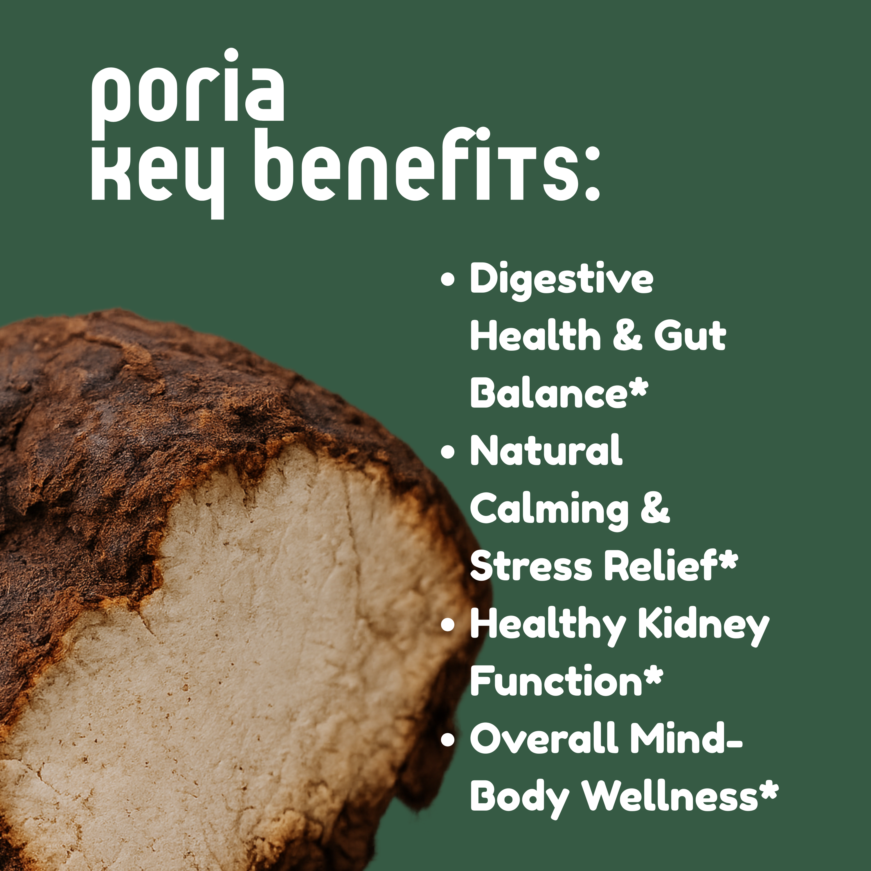 Poria Mushroom Tincture - My American Goods