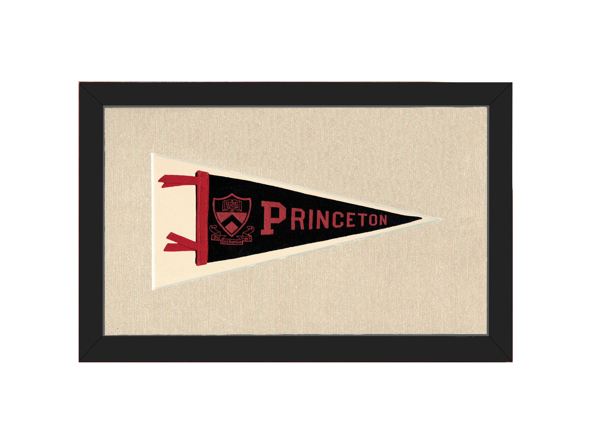 Vintage Princeton Pennant