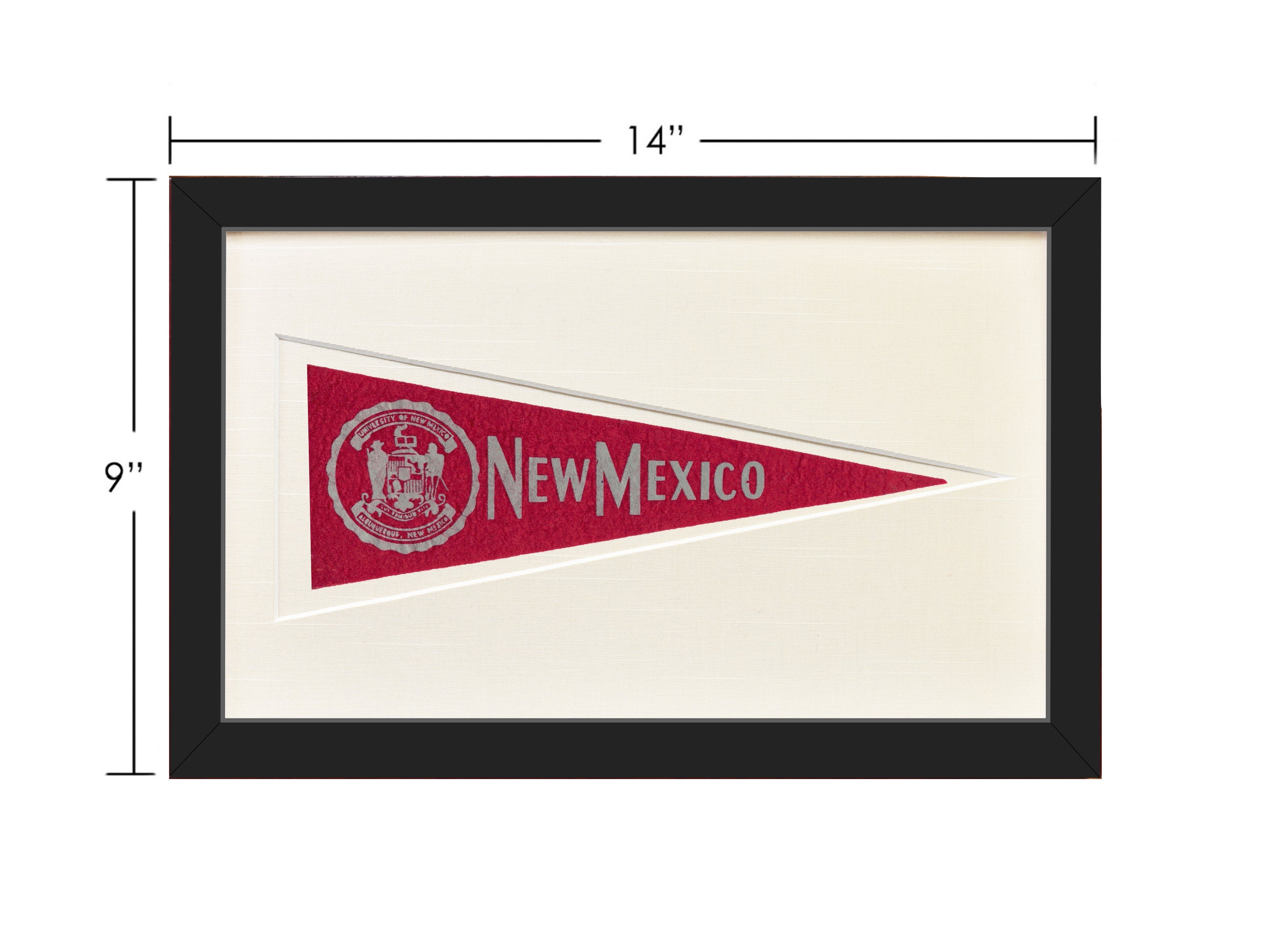 Vintage University of New Mexico Hormel Pennant