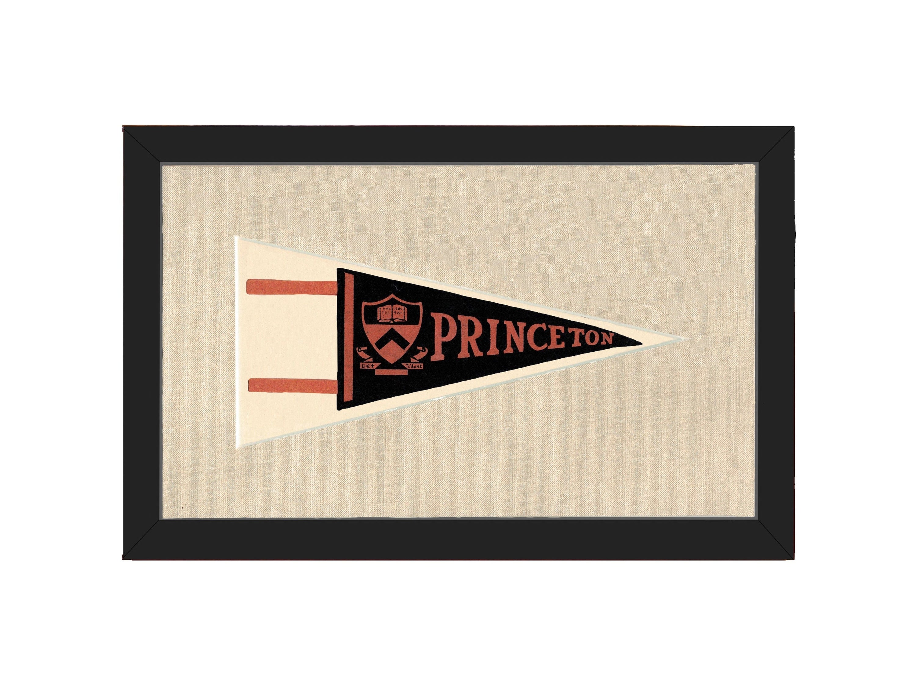 Americana Memories Vintage Pennants and Memorabilia Vintage Princeton Pennant