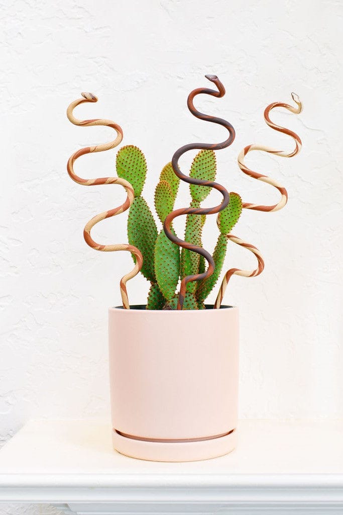 Ceramic Plant Snake Stake - My American Goods