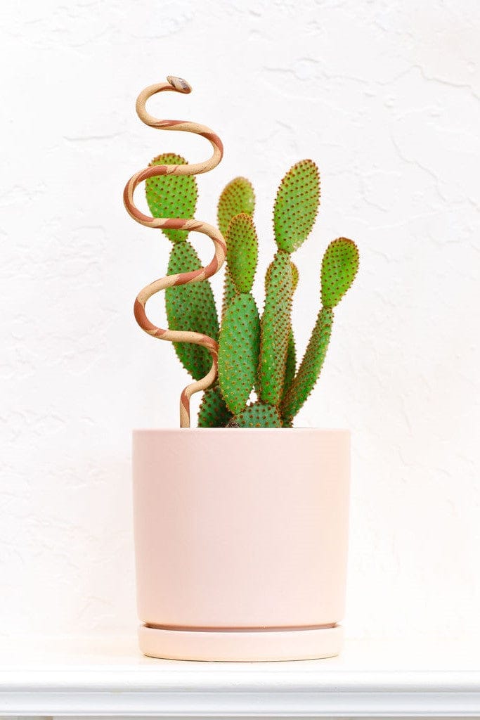 Ceramic Plant Snake Stake - My American Goods