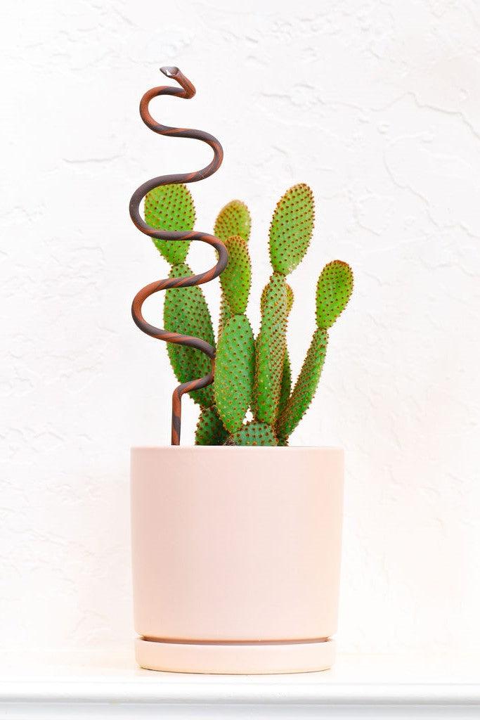Ceramic Plant Snake Stake - My American Goods