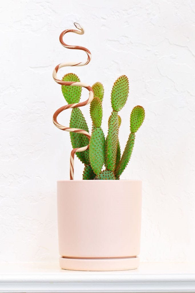 Ceramic Plant Snake Stake - My American Goods
