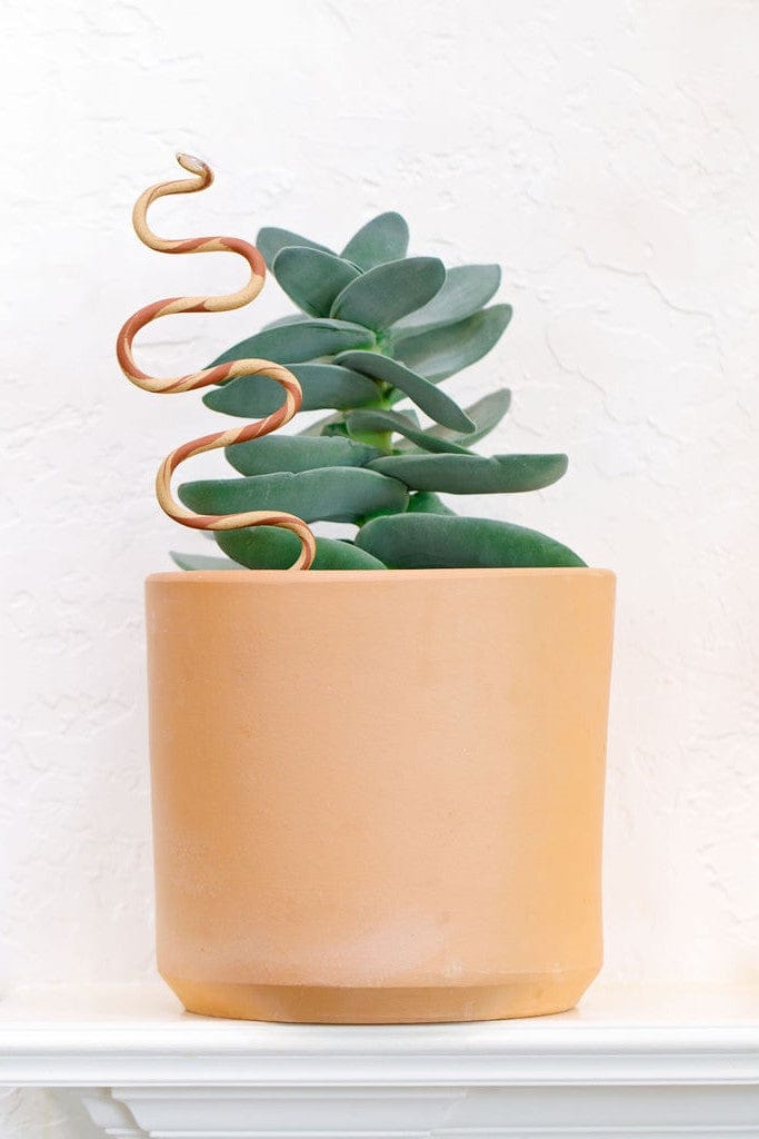 Ceramic Plant Snake Stake - My American Goods