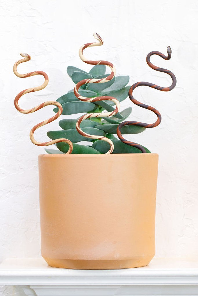 Ceramic Plant Snake Stake - My American Goods