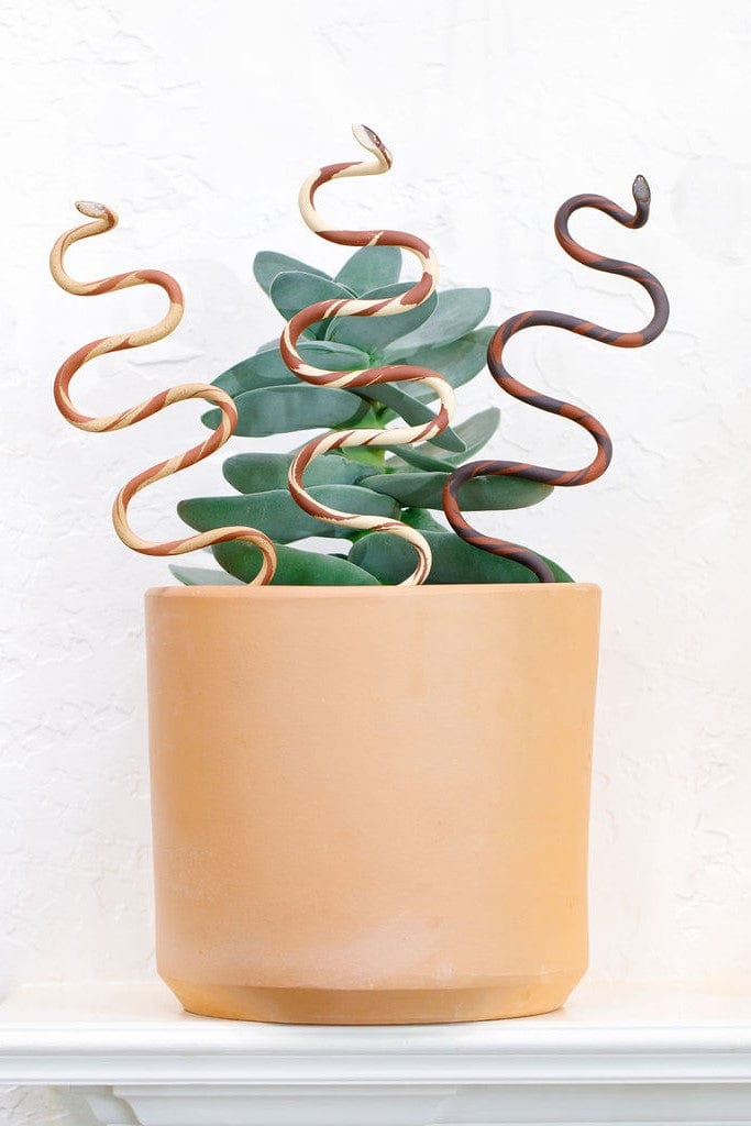 Ceramic Plant Snake Stake - My American Goods