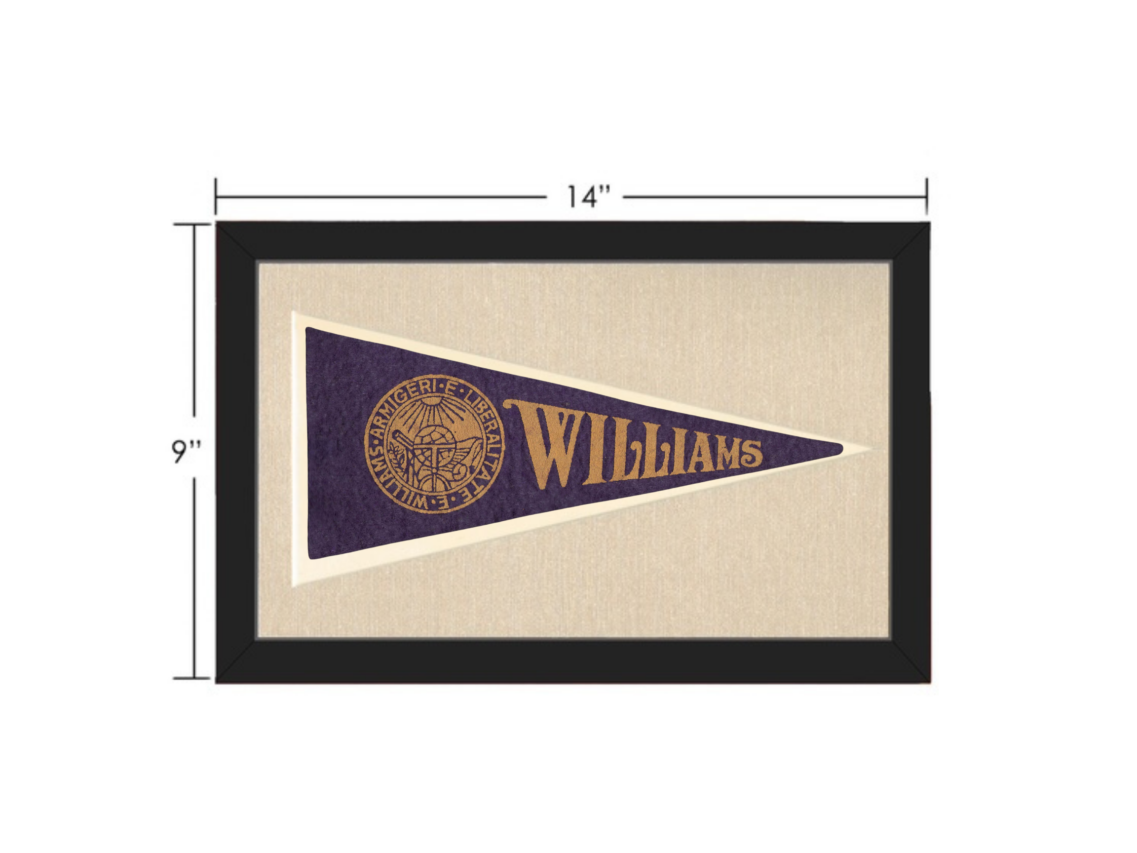 Vintage Williams College Pennant