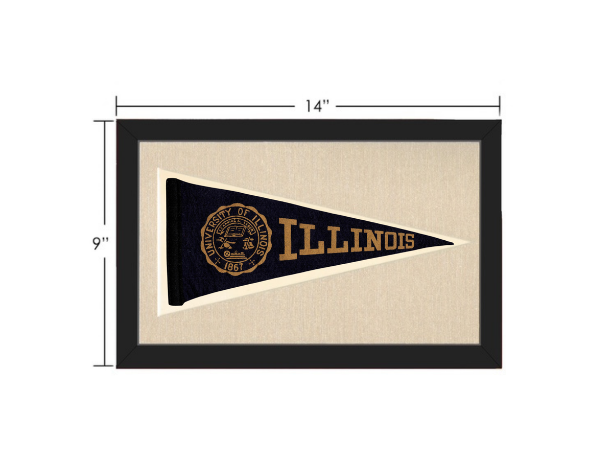 Vintage Illinois Pennant