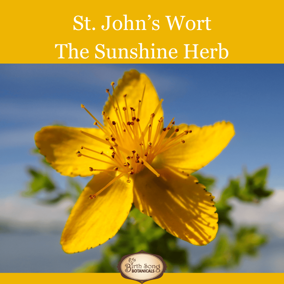 Birth Song Botanicals Co. Tinctures Joyful Journey Herbal Tincture – Botanical Blend with St. John’s Wort, Hawthorn & Lemon Balm (1 oz)