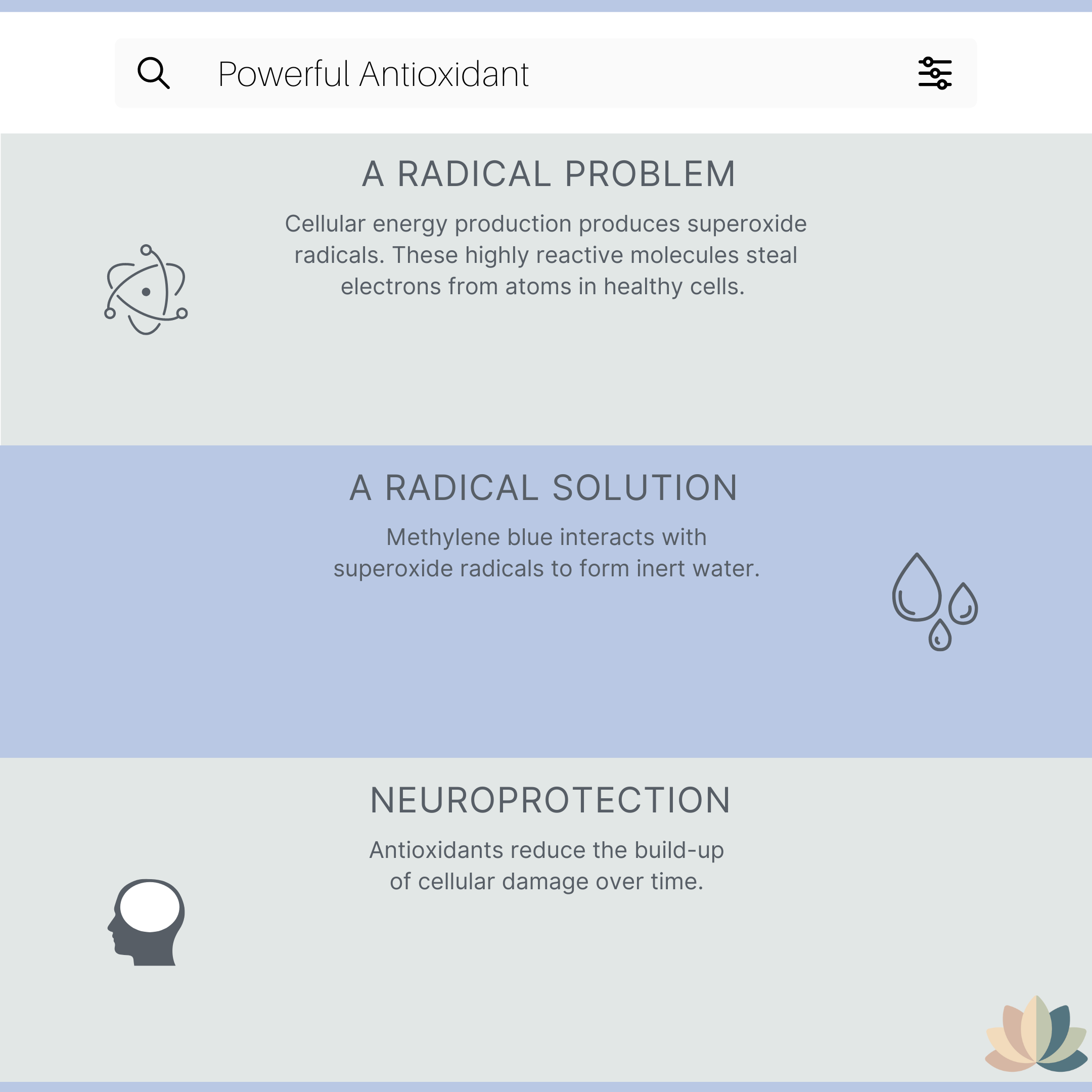 Suppvana Methylene Blue Liquid 1% (600mg, 2oz) - My American Goods