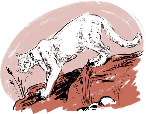 ZION NATIONAL PARK - My American Goods