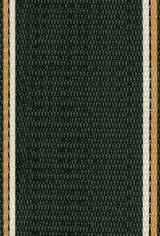 Lawn Chair USA Webbing Charleston Green