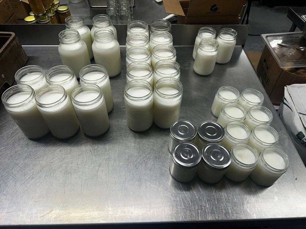 Unscented Bulk Beef Tallow - 8 Pounds | 100% Natural & Pure - My American Goods