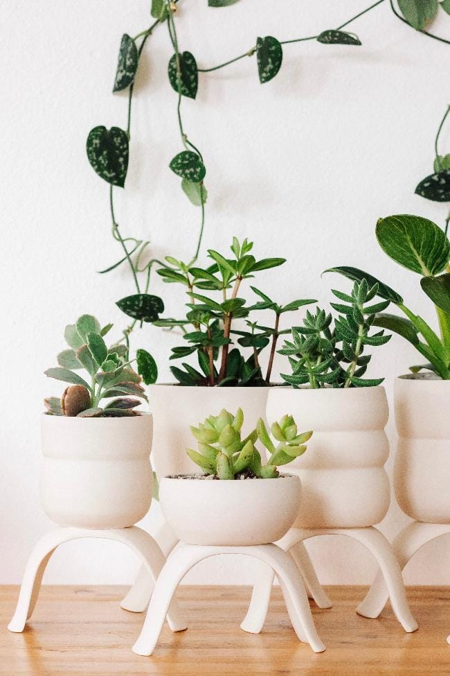 Carter + Rose Home & Garden Ceramic Footed Plant Pots