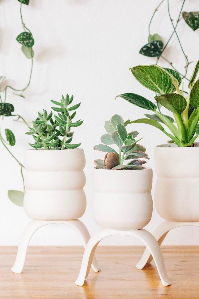 Carter + Rose Home & Garden Ceramic Footed Plant Pots