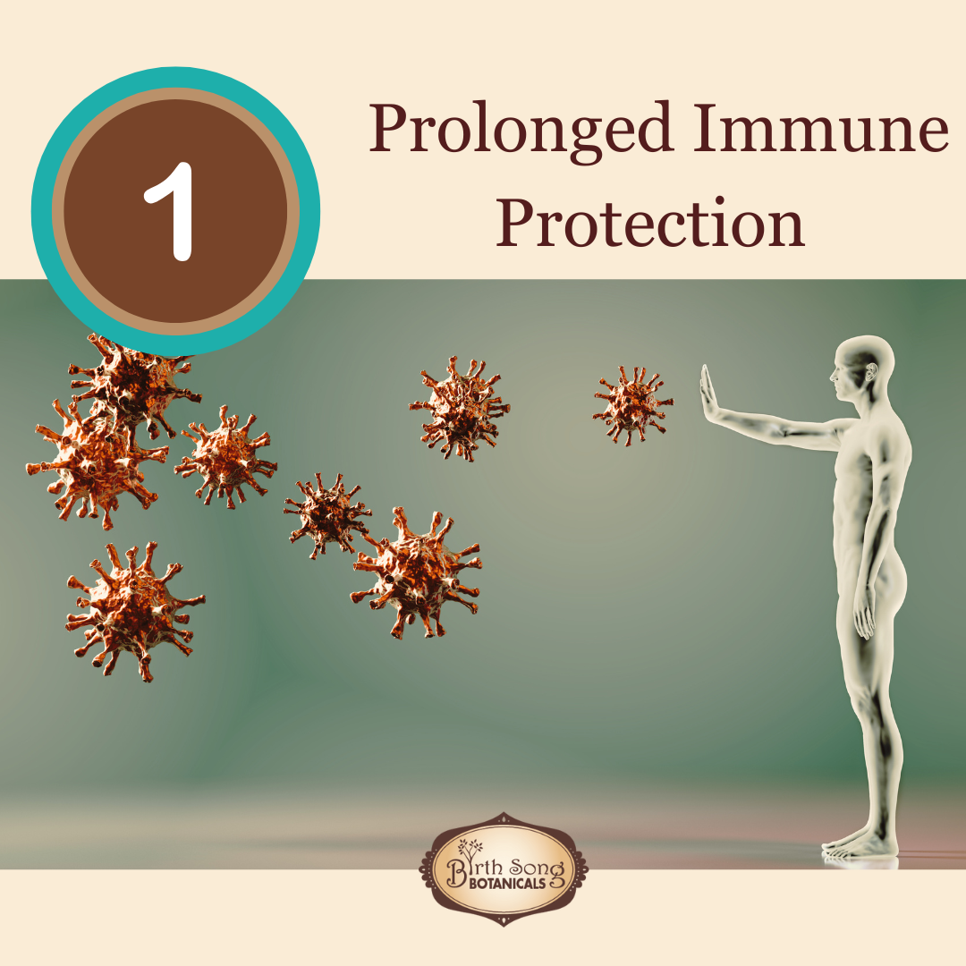 Astragalus Root Complex - My American Goods