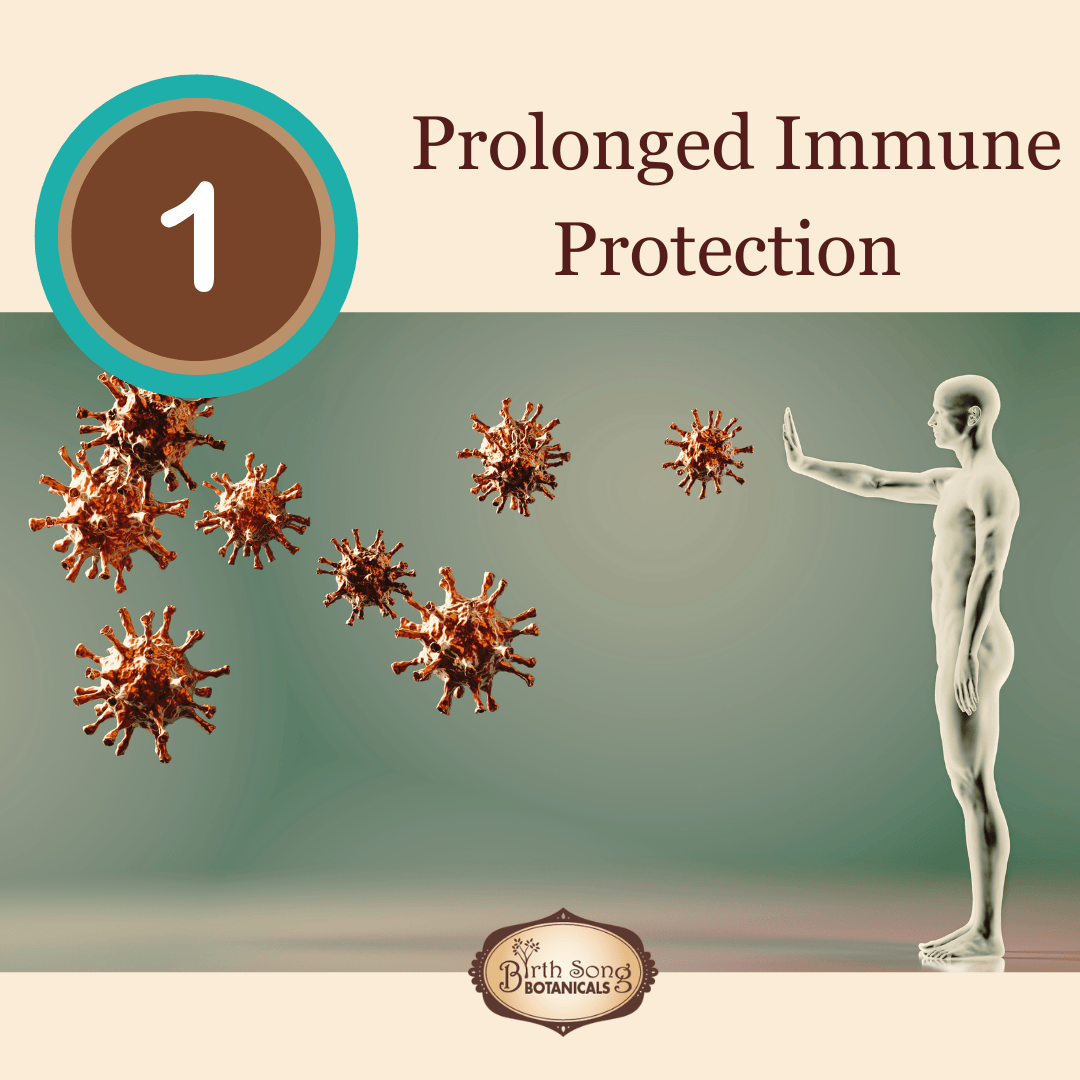 Astragalus Root Complex - My American Goods