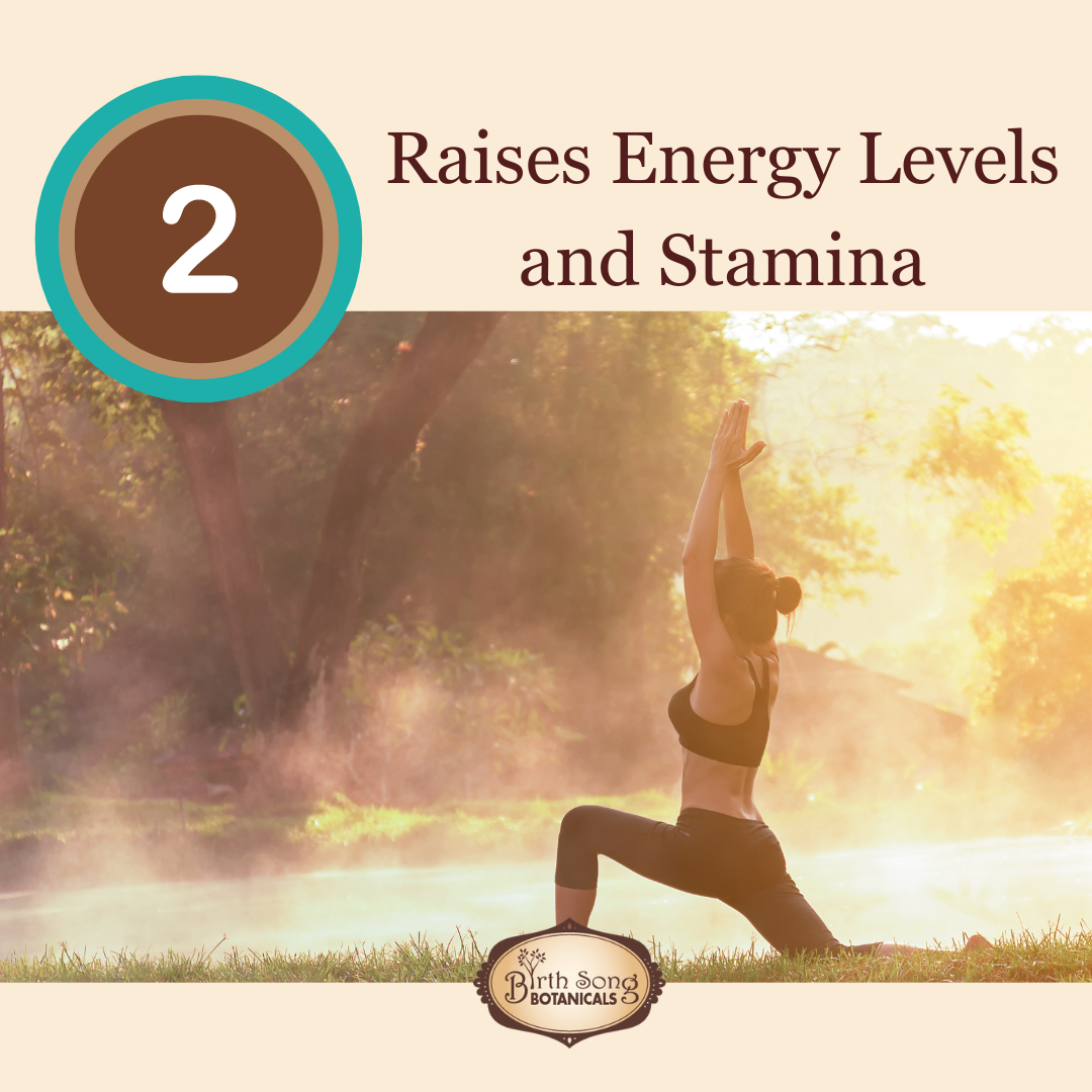 Astragalus Root Complex - My American Goods