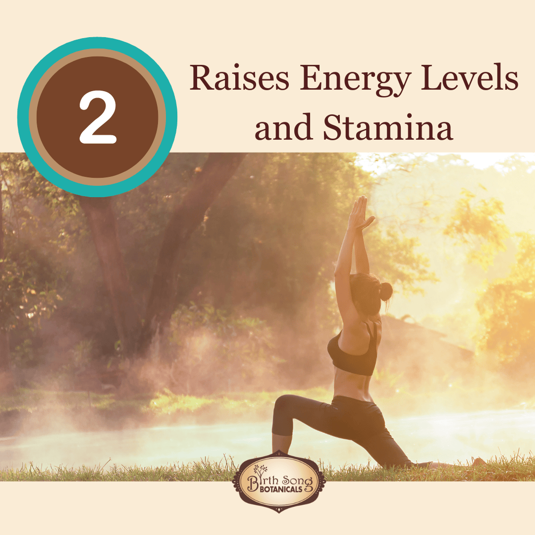 Astragalus Root Complex - My American Goods