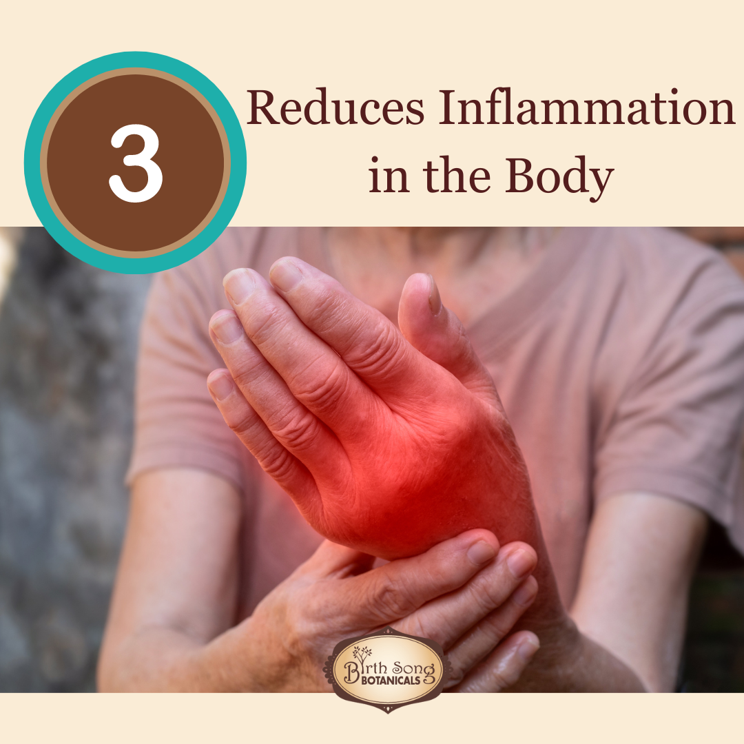 Astragalus Root Complex - My American Goods