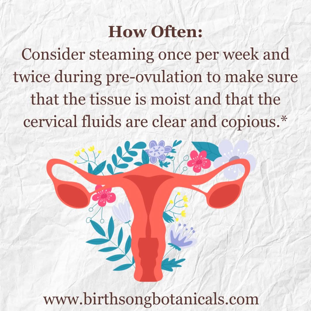 Birth Song Botanicals Co. Yoni steam Yoni Steam for Fertility* Organic Herbal Vaginal Steaming Blend to Support Fertility and Womb Health, V Steam Herb, Vaginal and Uterine Care 3 oz.
