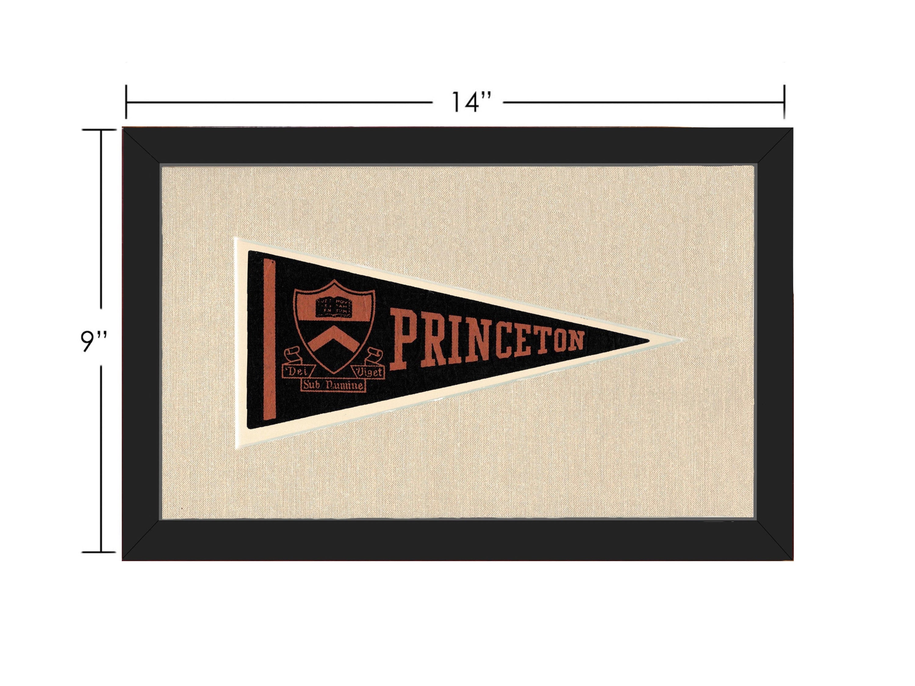 Americana Memories Vintage Pennants and Memorabilia Vintage Princeton Pennant