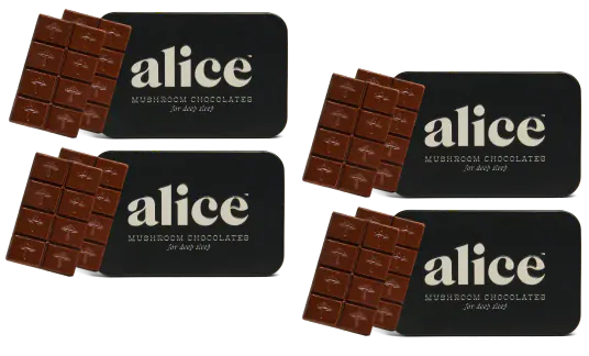 Nightcap Functional Mushroom Chocolates