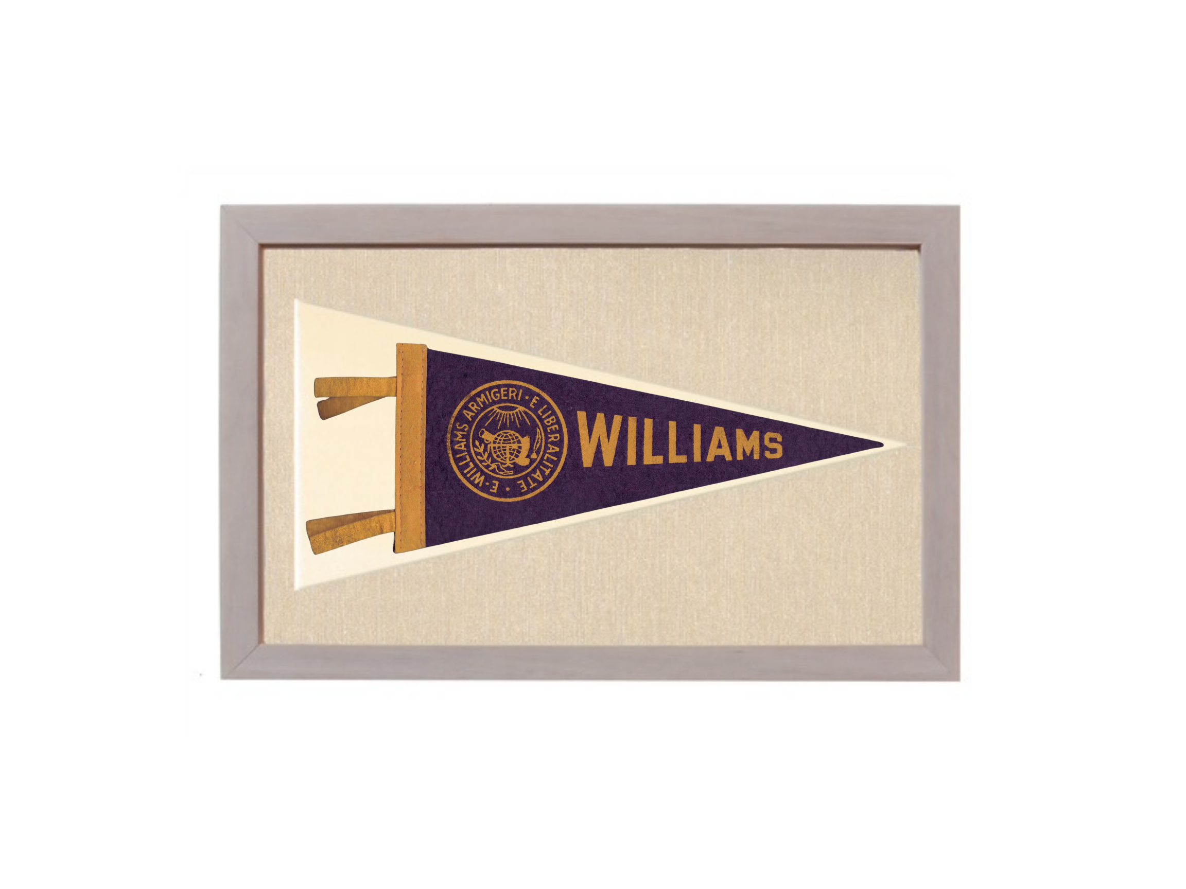 Vintage Williams College Pennant