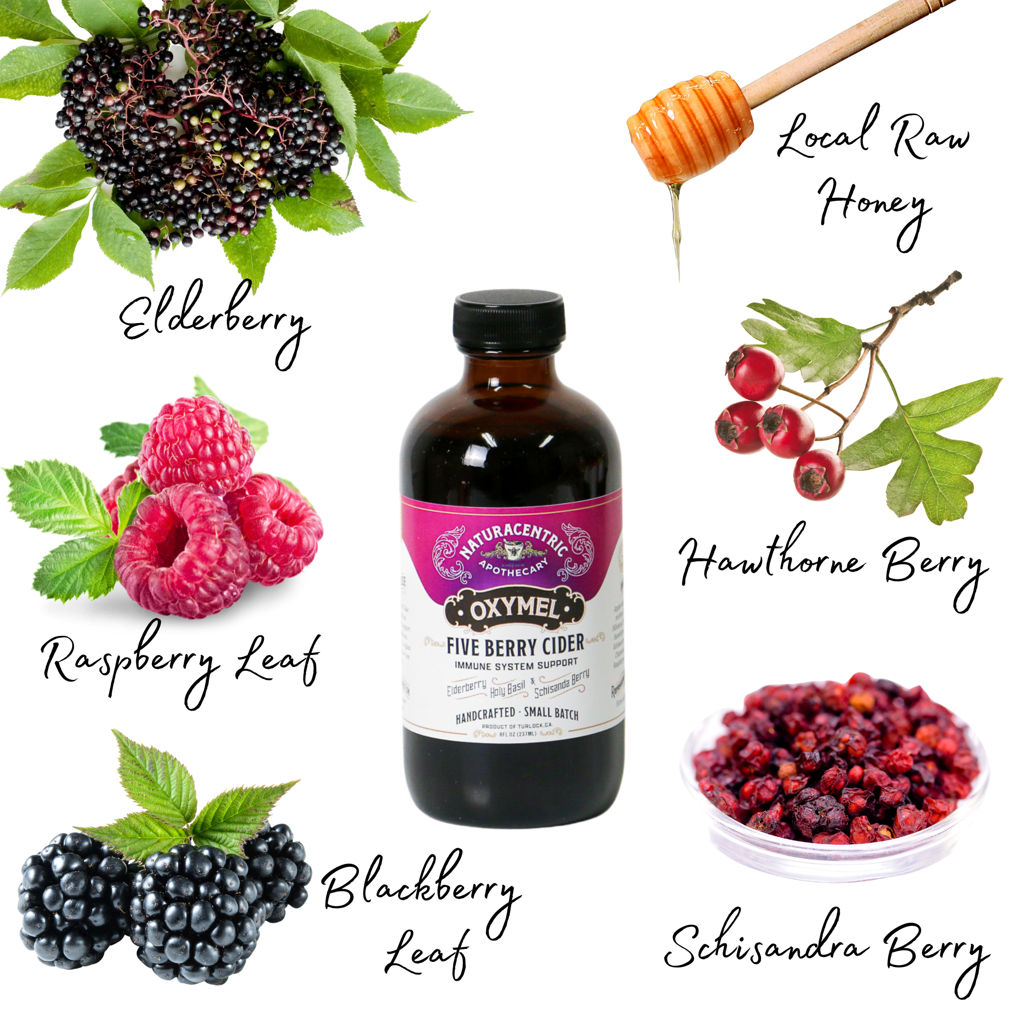 Five Berry Cider Oxymel