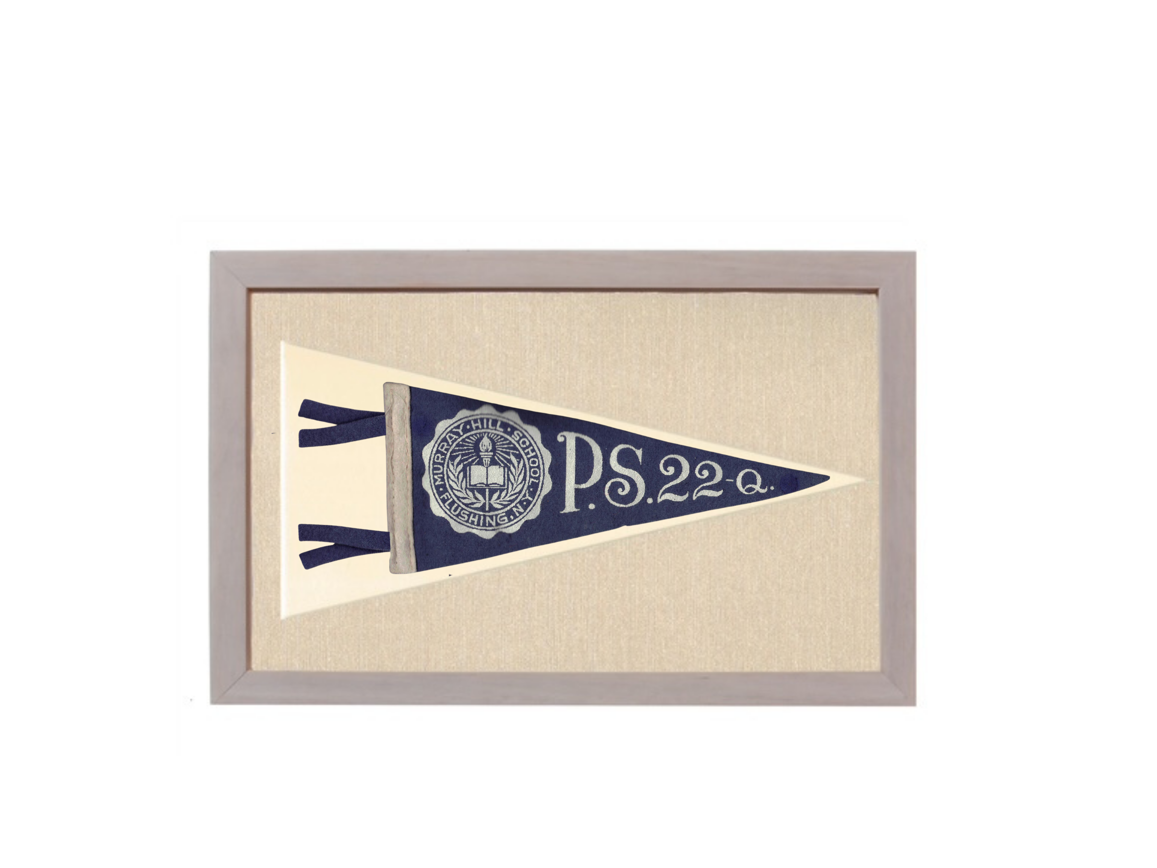 Vintage P.S. 22 Pennant