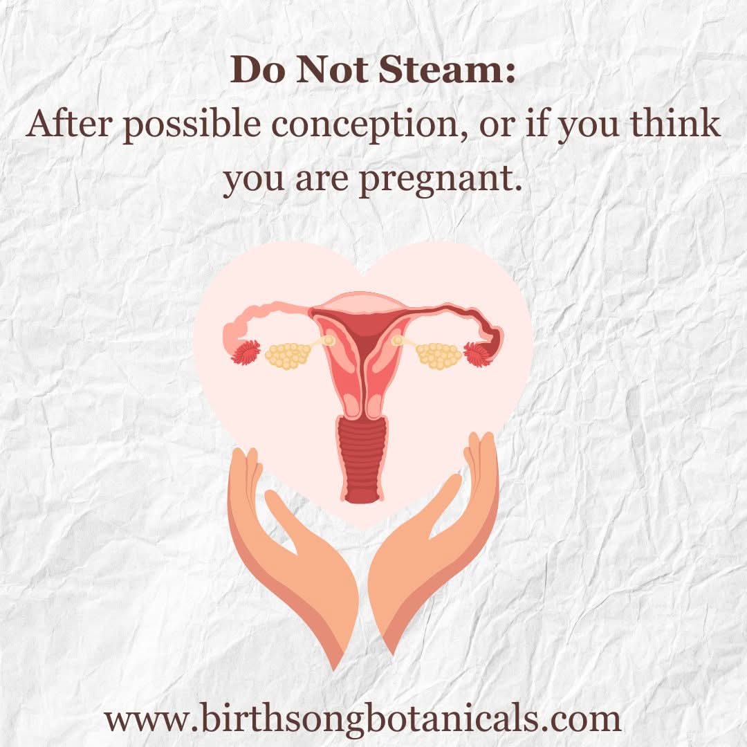 Birth Song Botanicals Co. Yoni steam Yoni Steam for Fertility* Organic Herbal Vaginal Steaming Blend to Support Fertility and Womb Health, V Steam Herb, Vaginal and Uterine Care 3 oz.