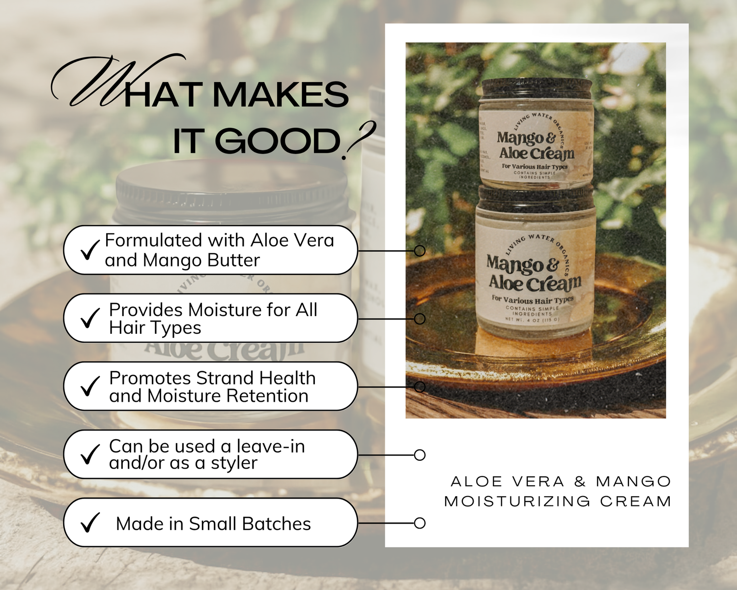 Mango & Aloe Cream - My American Goods