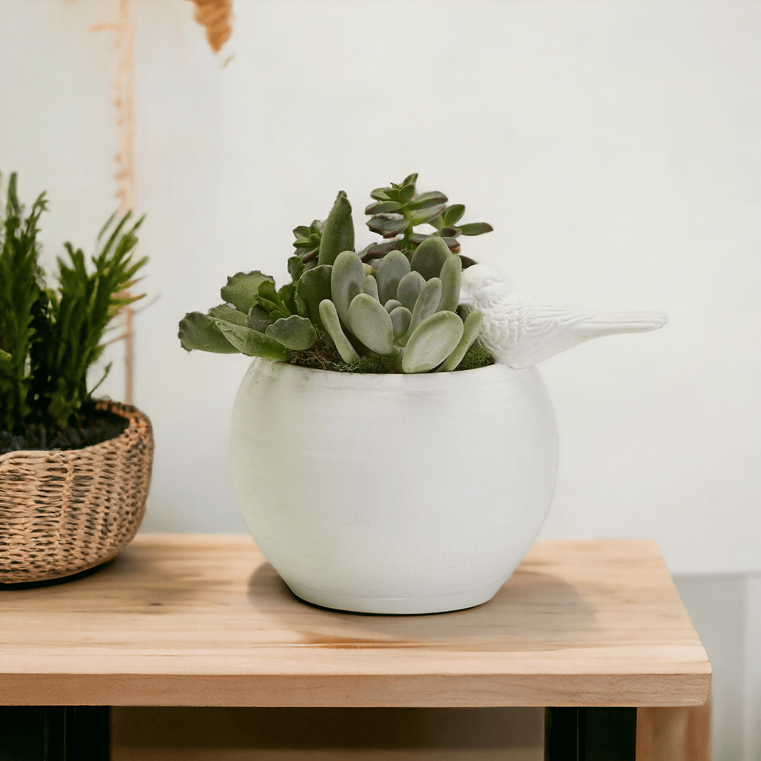 Gia Roma Sitting Pretty Vase