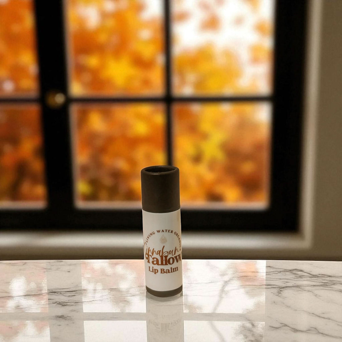 Cinnabun Lip Balm Cinnamon Roll Flavor - My American Goods