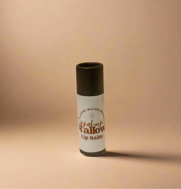 Cinnabun Lip Balm Cinnamon Roll Flavor - My American Goods