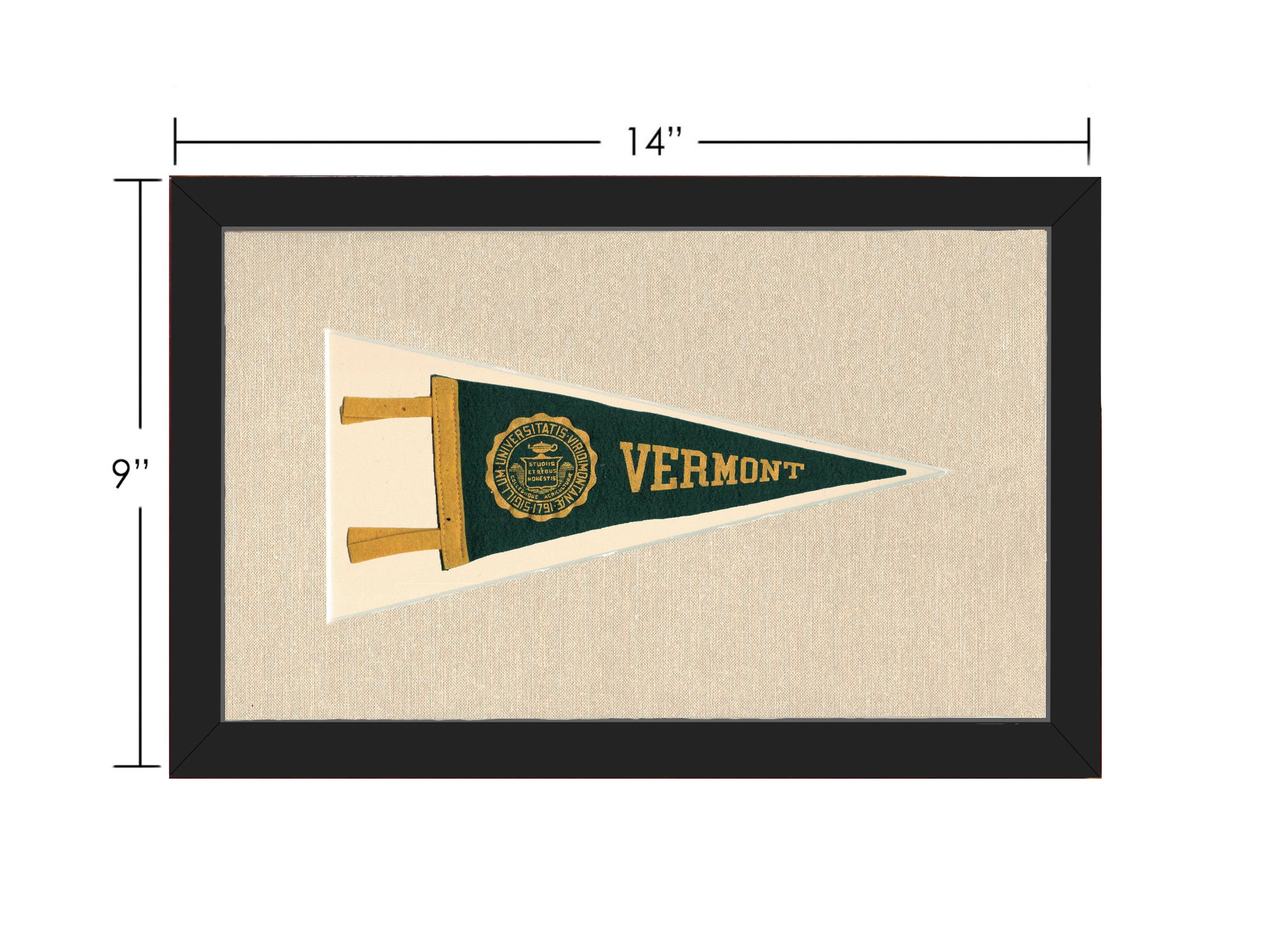Vintage Vermont University Pennant