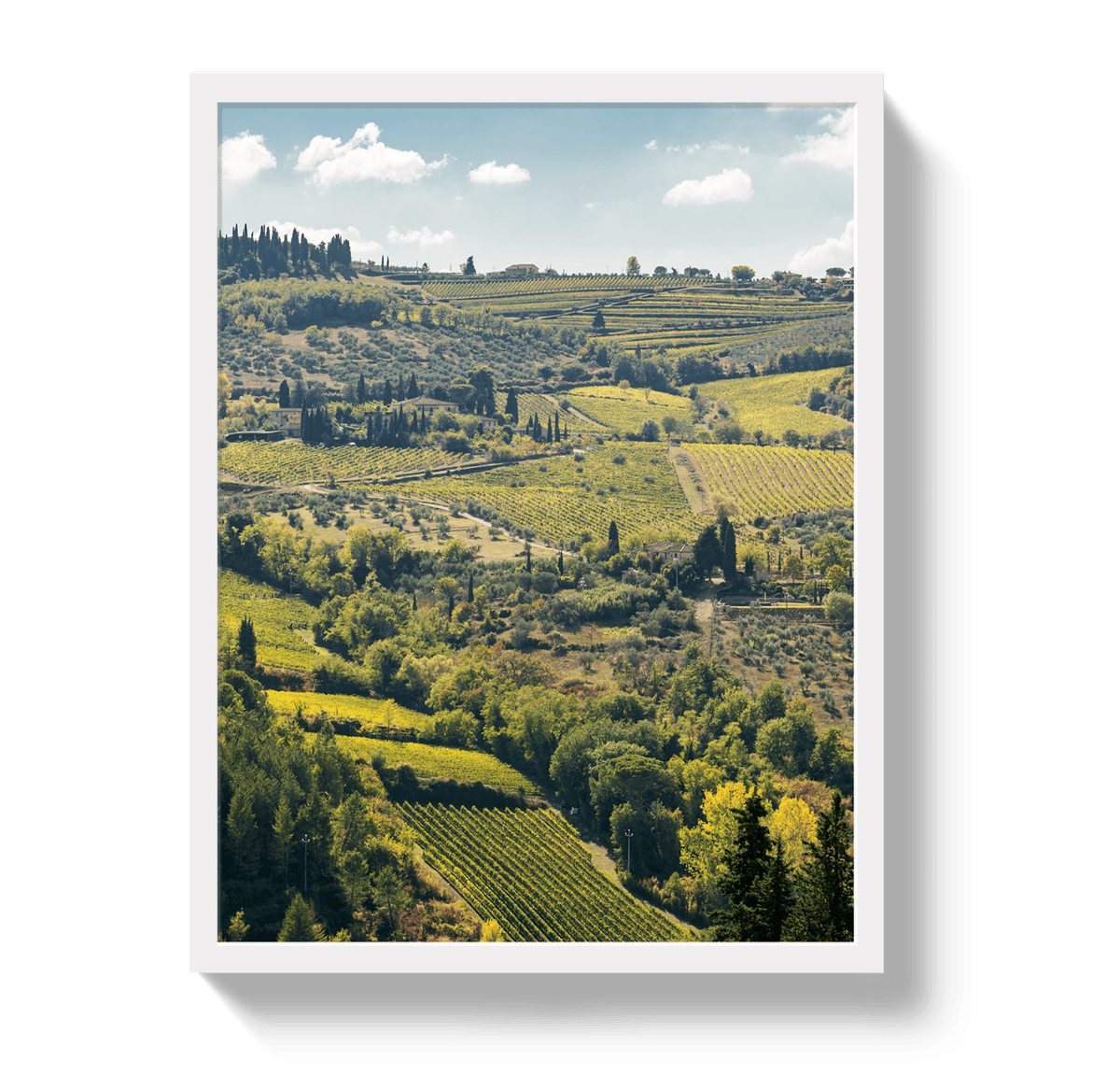 Johnny Vacay White / 11x14 / Full Bleed Tuscan Hills