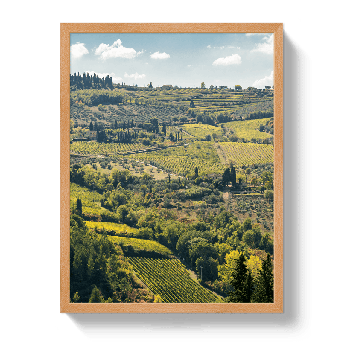 Johnny Vacay Oak / 11x14 / Full Bleed Tuscan Hills