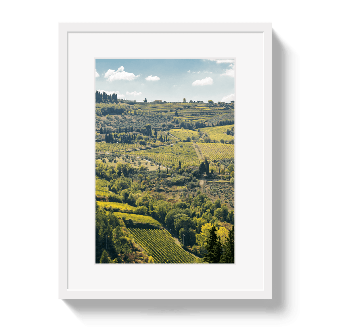 Johnny Vacay White / 11x14 / Border Tuscan Hills