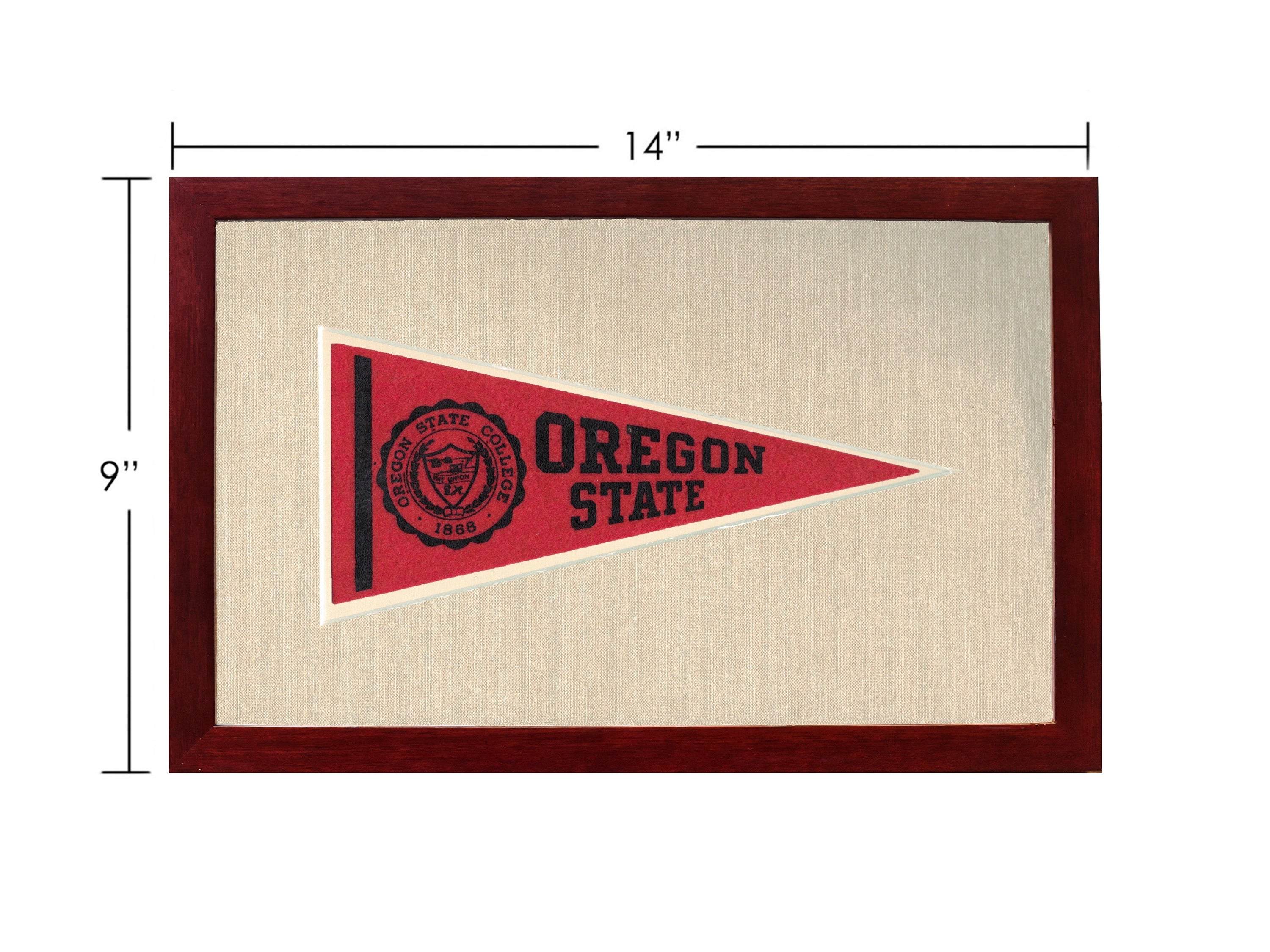 Vintage Michigan State Pennant