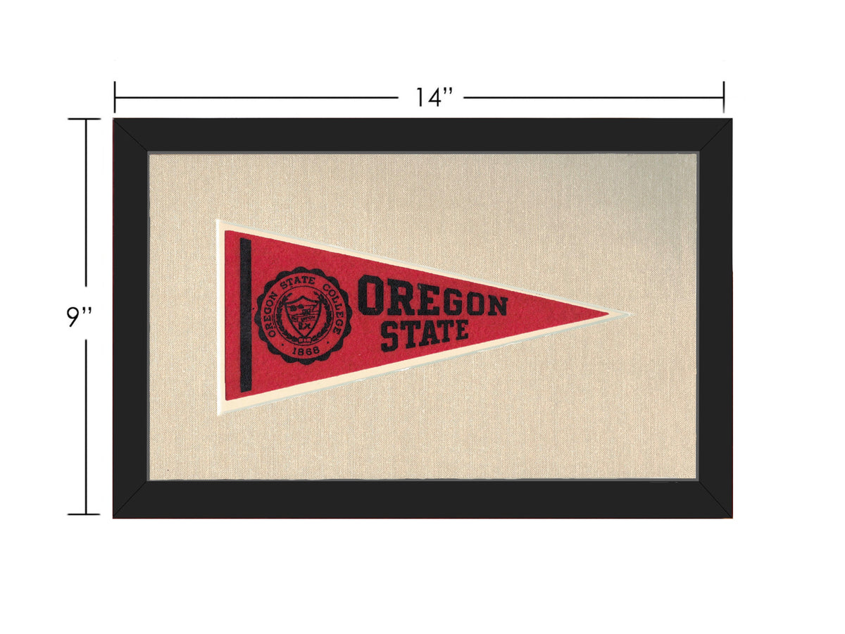 Vintage Michigan State Pennant