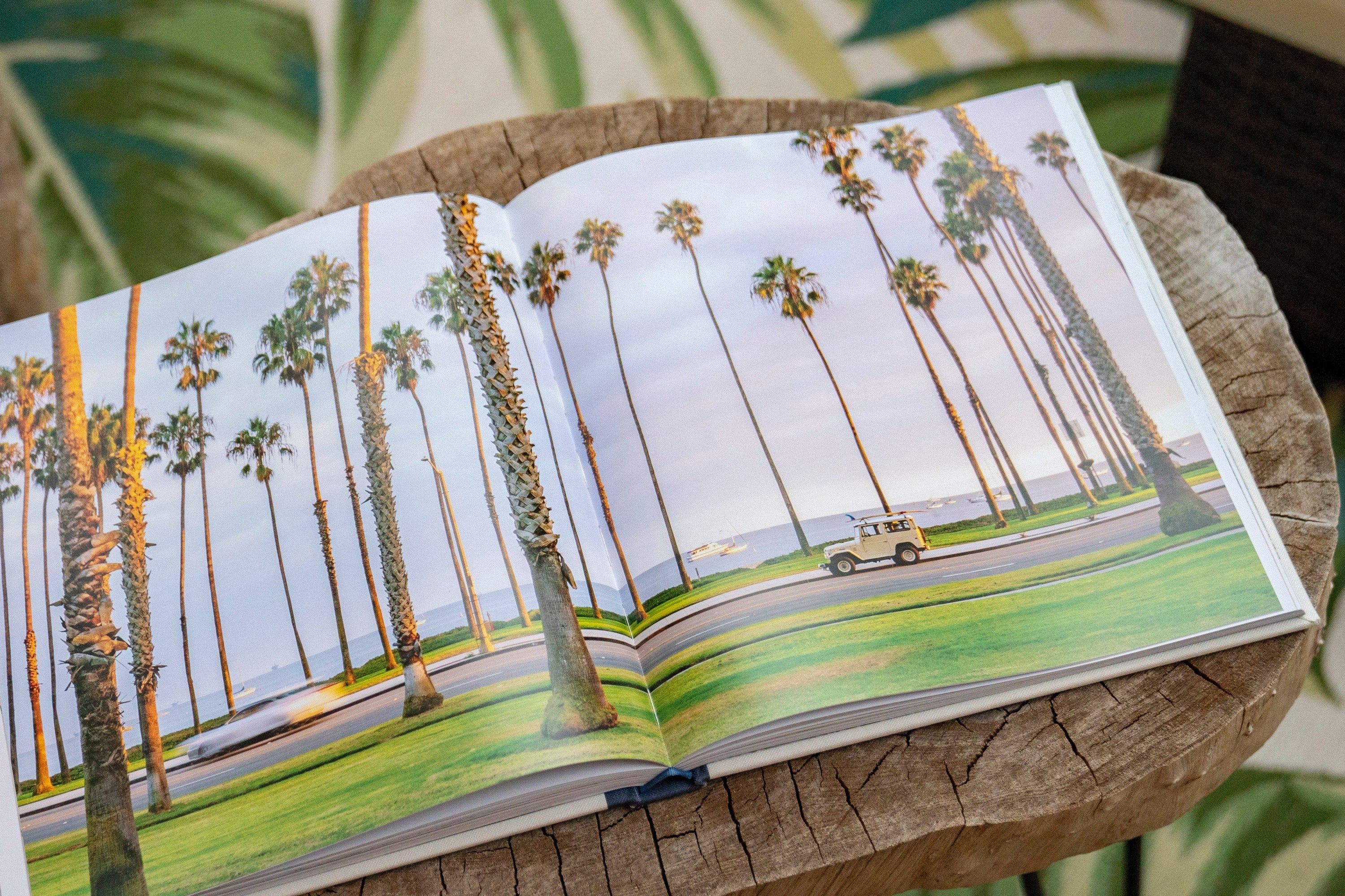 Johnny Vacay Surf Rides: Rad Rides & Life on the California Coast
