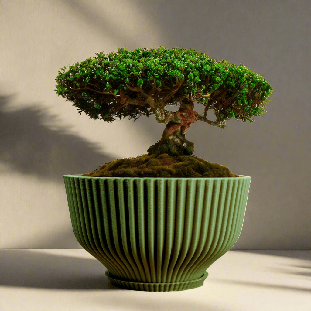 Bonsai Pot with Drainage & Tray - My American Goods