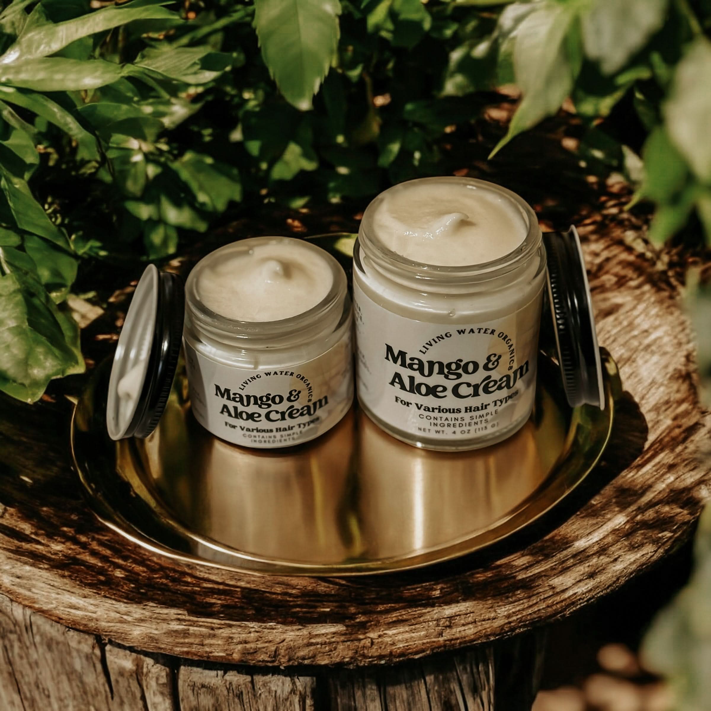 Mango & Aloe Cream - My American Goods