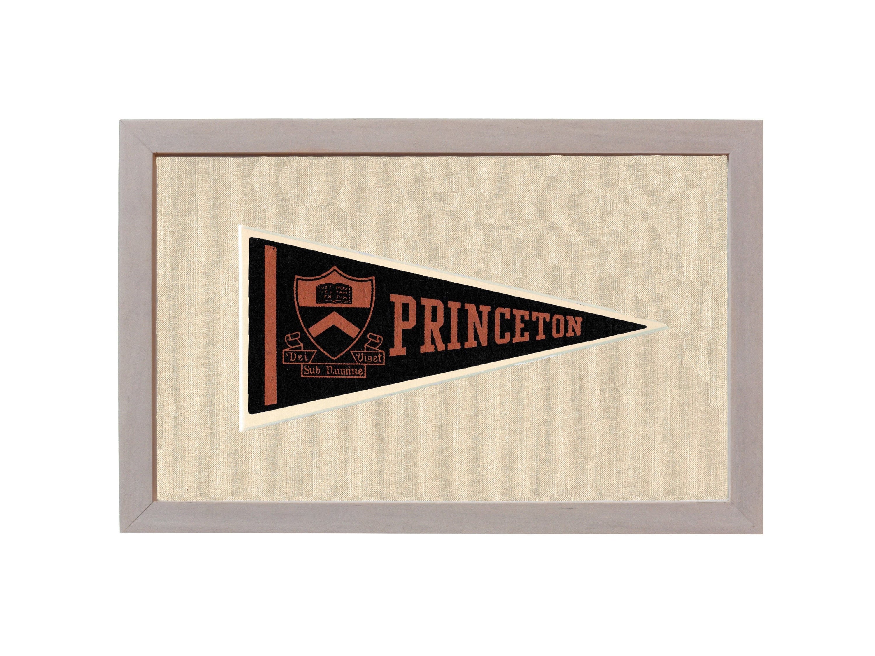 Americana Memories Vintage Pennants and Memorabilia Vintage Princeton Pennant